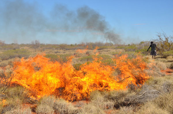 bushfires-in-the-australian-bush